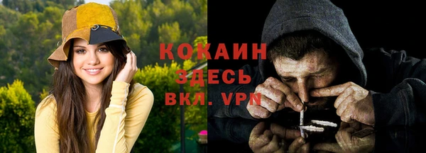 гашик Ельня