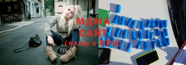 гашик Ельня