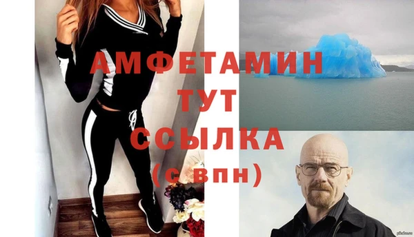 гашик Ельня