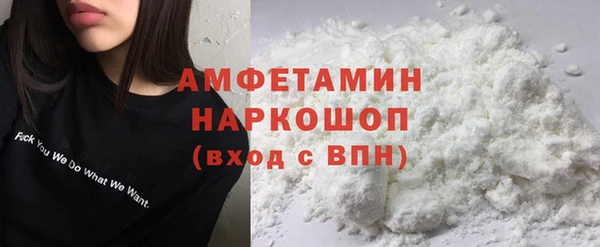 гашик Ельня