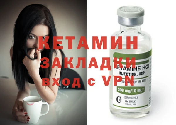 гашик Ельня