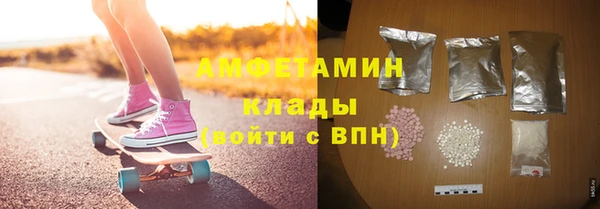 гашик Ельня