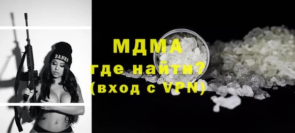 гашик Ельня