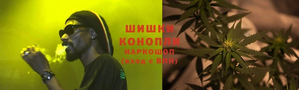 гашик Ельня