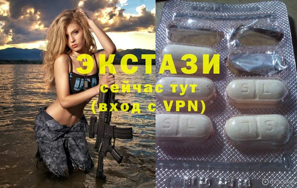 гашик Ельня