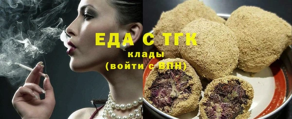 гашик Ельня