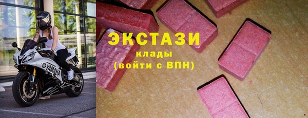 гашик Ельня