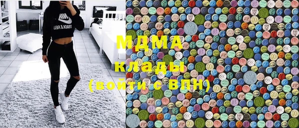 гашик Ельня