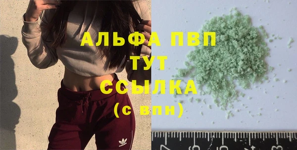 прущие грибы Тутаев