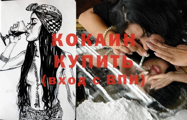 гашик Ельня
