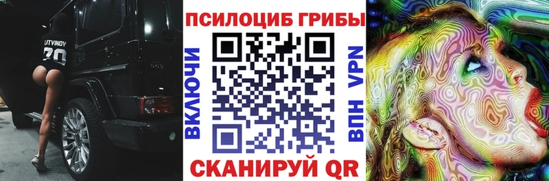 кракен рабочий сайт  Сосновоборск  Псилоцибиновые грибы мицелий 