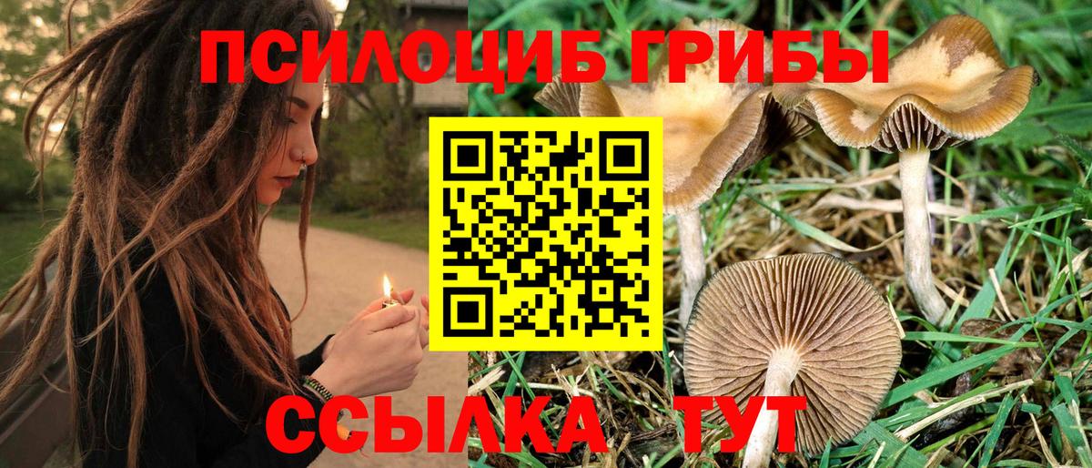 Галлюциногенные грибы мухоморы Сосновоборск