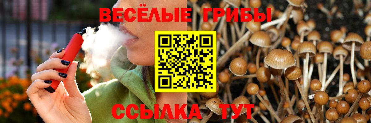 Галлюциногенные грибы MAGIC MUSHROOMS  Галлюциногенные грибы Magic Shrooms  Вход с VPN  Сосновоборск 